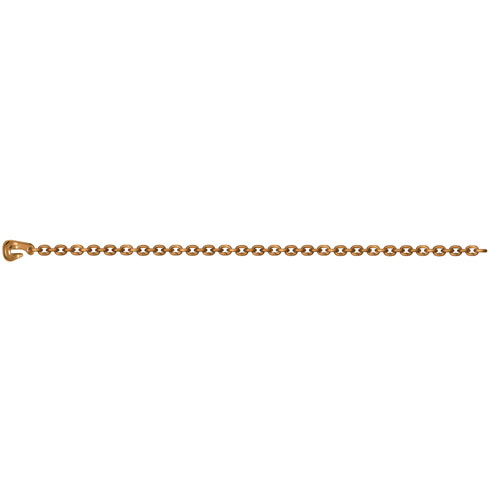 ǰ̹